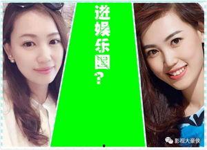 娱乐圈网友吃瓜系统小说